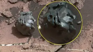 Perseverance Rover & Curiosity captured the strange image on Mars's surface and Latest image