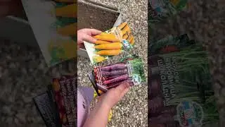 Даже ребёнок вам расскажет как посеять морковь и свеклу!