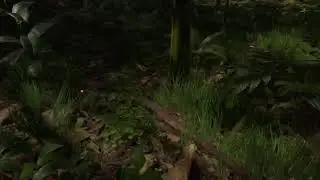 Green Hell is hell