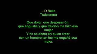 TRAICIONERA  Luis Segura KARAOKE