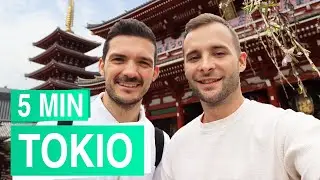 Tokio in 5 Minuten 🍙⛩️ alle Sehenswürdigkeiten in Tokio
