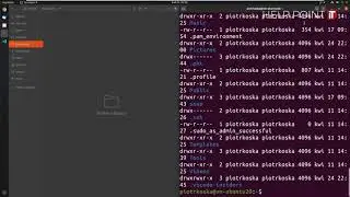 Ubuntu 20.04 LTS - Poruszanie się po systemie (przeglądarka plików i konsola)