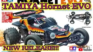 Why Everyone is Talking About Tamiya Hornet Evo #tamiya #tamiyarc