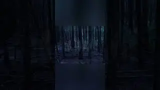 Никогда не пугайтесь этого ночью, это всего лишь...