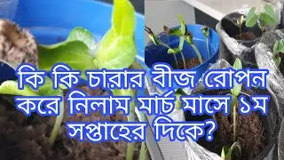 Shoker bagan uk 2022//বাংলা লাউ, শিম,বেগুন,মরিচের বীজ বপনের পদ্ধতি