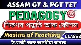 Assam GT PGT TET ❤️ 2024 | Pedagogy Topic wise | Maxims of Teaching | Syllabus wise ❤️