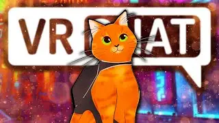 Stray in VRChat - VRChat Highlights
