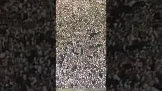 subhanallah suasana thawaf di masjidil haram bikin takjub !
