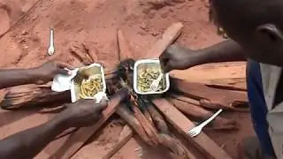 Насекомые/  Кузнечики/ Жареные кузнечики/ Съедобные насекомые.