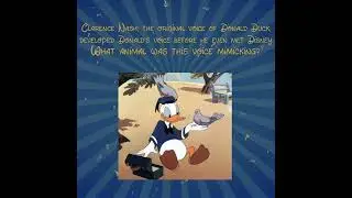 Clarence had a little Duck