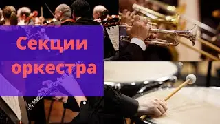 Секции симфонического оркестра с примерами звучания в FL studio