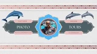 DOLPHIN SHOW  ( PHOTO TOURS )