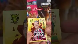 7 de agosto de 2023