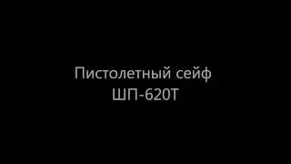 Пистолетный сейф ШП-620Т