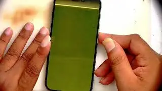 iPhone 14 Pro Display green screen repair 