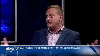 INTERVIEW | Urban residents bearing brunt of wildlife damage - nbc