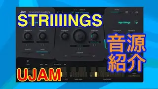 【Preset】Striiiings ストリング音源 UJAM