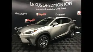 2021 LEXUS NX 300 PREMIUM PACKAGE