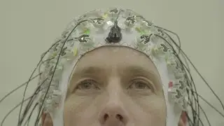 Neural Sense™ NeuroWine 2.0 Project