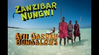 Занзибар Nungwi в декабре. НУНГВИ. Бассейн с черепахами / Atii Garden Bungalows