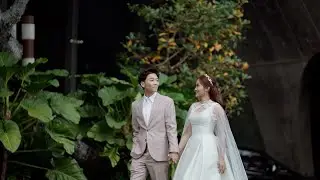 Gib | Moss Engagement