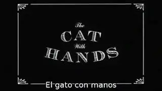El gato con manos