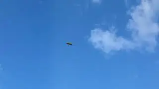 Неизвестный летательный аппарат над Двор Плино.