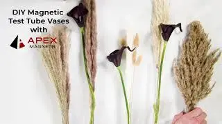 DIY Magnetic Test Tube Vases