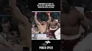 Dozens of Punches Without Reply