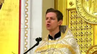 Проповедь иерея Никиты Калинина на воскресной литургии (29.01.23)