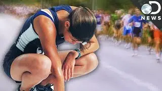 What Does Running A Marathon Do To Your Body?
