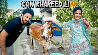 FINALLY QURBANI KI COW KHAREED LI 😍 | Iqra Aur Billi Ka Reaction 🥰