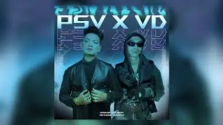 ចិត្តព្រៃផ្សៃ PSV x VD | Full Version Mashup SEY BEAT