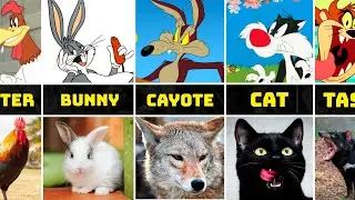 Looney Tunes Characters in Real Life