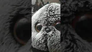 жмых басик(табурет).