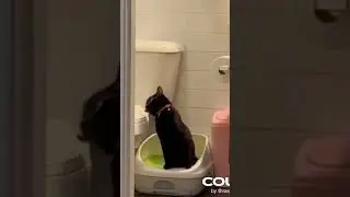 А у тебя было подобное? ➪ Best coub Shorts