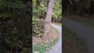 Riding through the park with George
