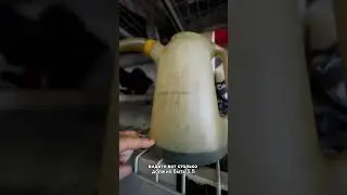 Автомат Калашникова среди Тойот 