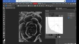 How to Create a Solarization Effect with Photopea