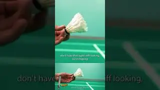 Best shuttlecock to buy?