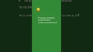 Запасаемся антисептиками 💚 💚 💚 #Зелест #Антисептик #Zelest #Антисептики #Стройка #Ремонт