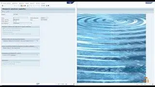 Что такое мандант в SAP