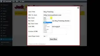 email marketing case studies