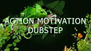 AUDIO JUNGLE NO COPYRIGHT action motivation dubstep