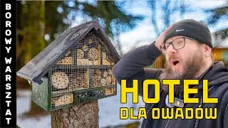 Jak zrobić DOMEK - HOTEL DLA OWADÓW | Building insect hotel | DIY projekt. 1 | b🆅🅻🅾🅶008 #murarki