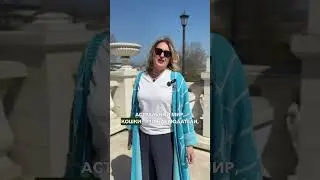 Что делать, если чёрная кошка перебежала дорогу
