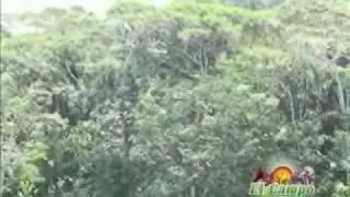 apicultura1