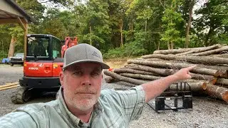 Discovered Much More than Just Firewood in this Pile of Logs