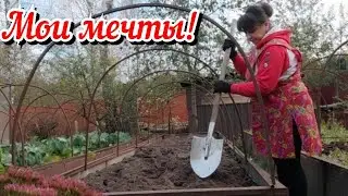 Мои мечты для дома и сада. Когда же будет кухня? Осенние работы в саду. Жизнь семьи в деревне.