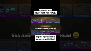 22 июля 2024 г.